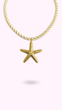 COLLIER SURF