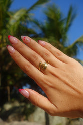 BAGUE LUZIA