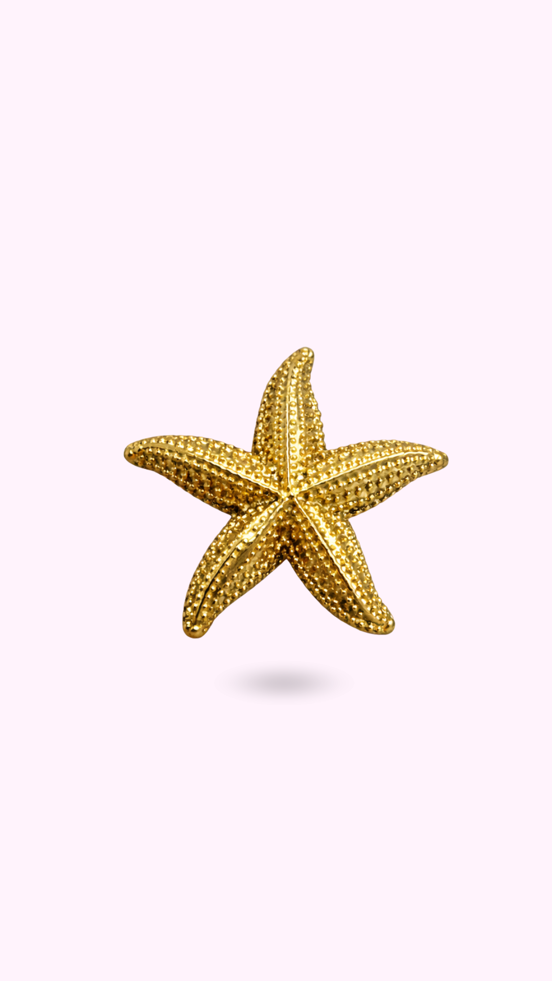 BROCHE ETOILE DE MER