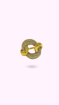 BAGUE SALINES