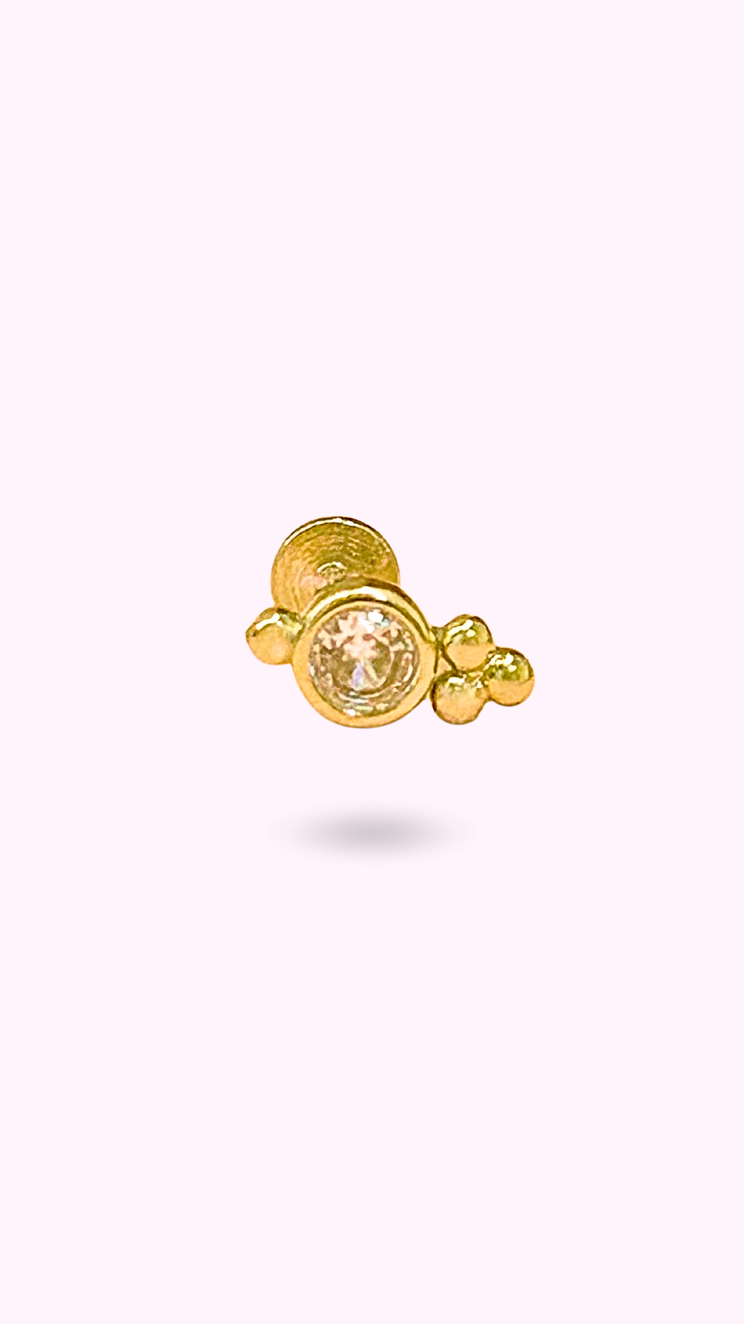 PIERCING CAMALEON