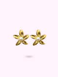 BOUCLES ROSY