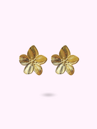 BOUCLES CAMELIA
