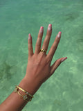 BAGUE PALM
