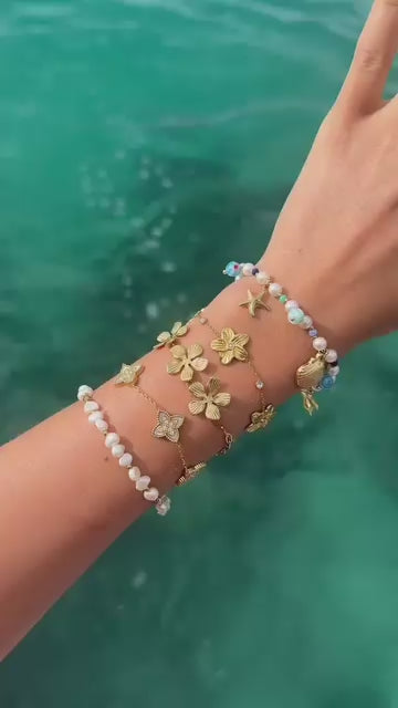 Vidéo